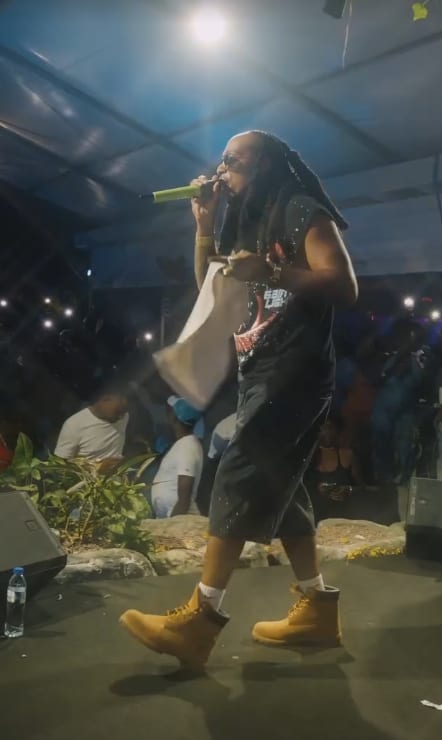 Un artiste chante sur scène en bottines, la foule filme avec ses téléphones